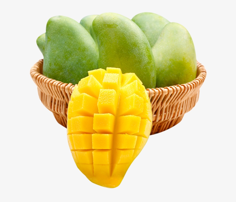 Shelf Life - Nine - Woman, transparent png #2531865