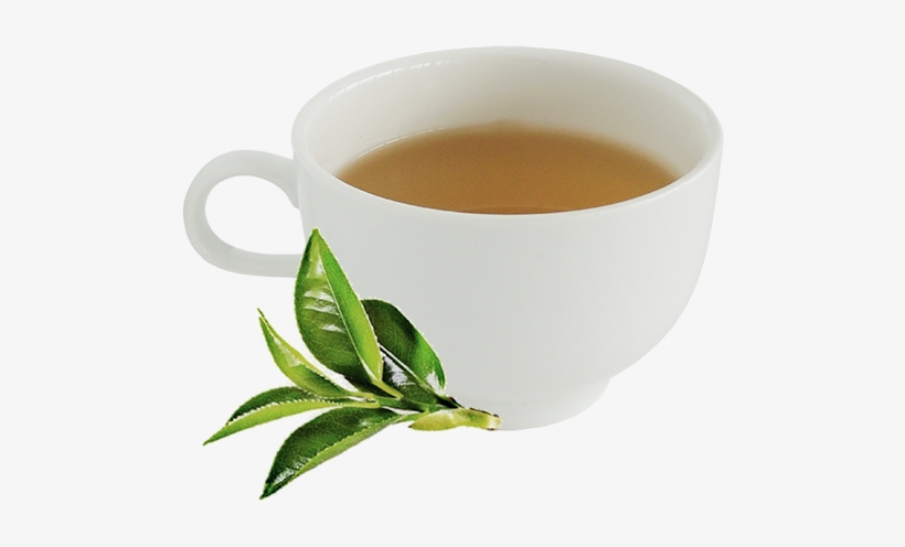 Tea Tree Cafe Hot Tea - Hot Green Tea Png, transparent png #2533331
