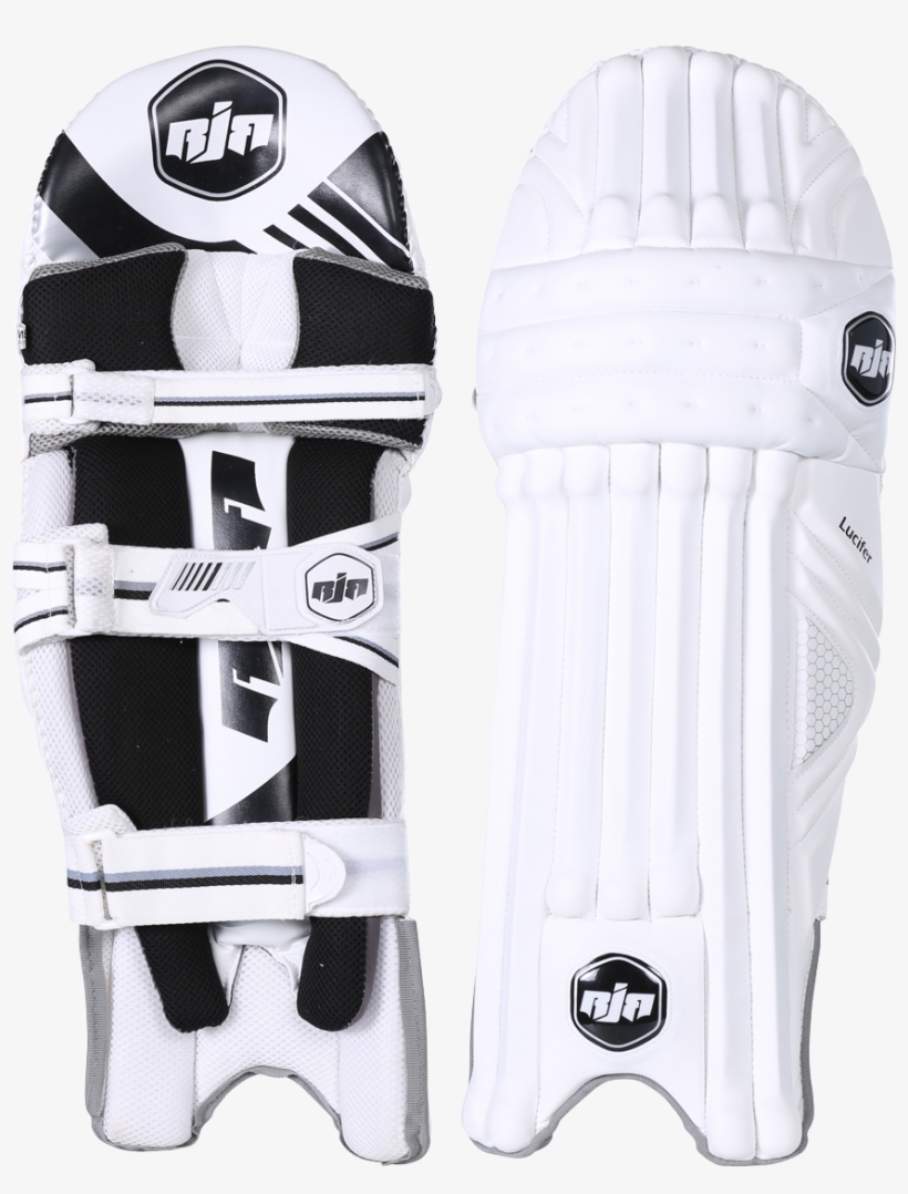 The - Cricket, transparent png #2534254
