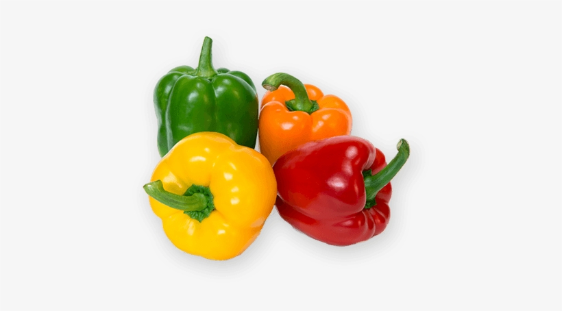 Fresh Capsicum - Bell Pepper With Scientific Name, transparent png #2534384