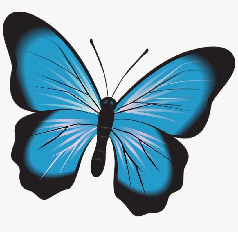 Watercolor Nature Clipart Hand Painted Roses Stock - Papillon Clipart, transparent png #2535050