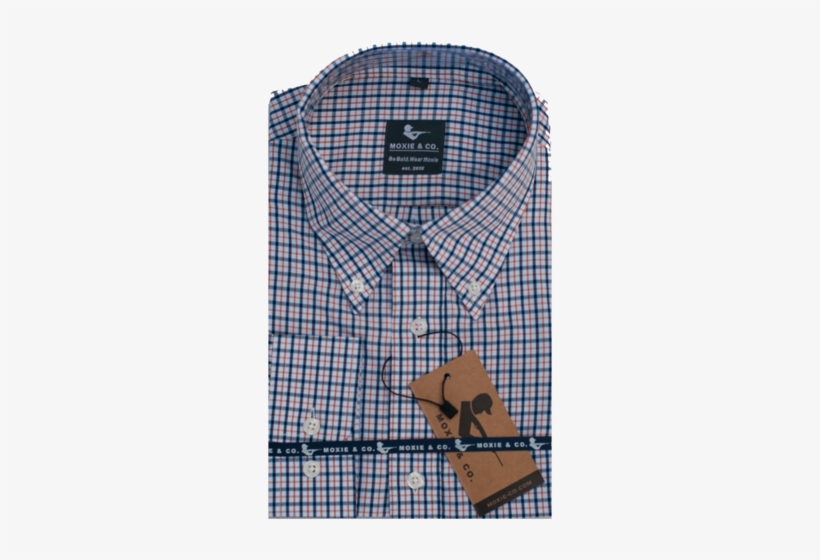 Auburn - Vatican Museums, transparent png #2536220