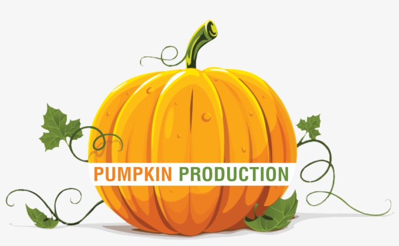 Pumpkin Production Png Freeuse Download - Transparent Background Pumpkin Clipart, transparent png #2536613