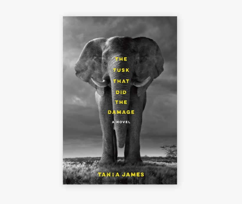 Kerala Elephant Png, transparent png #2537141