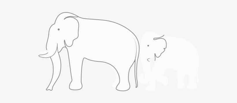 Indian Elephant, transparent png #2537318