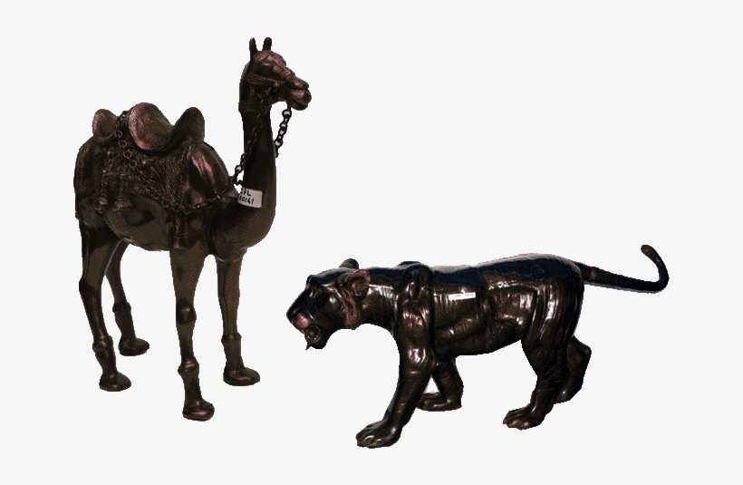 Woman With Hat - Lion, transparent png #2537512