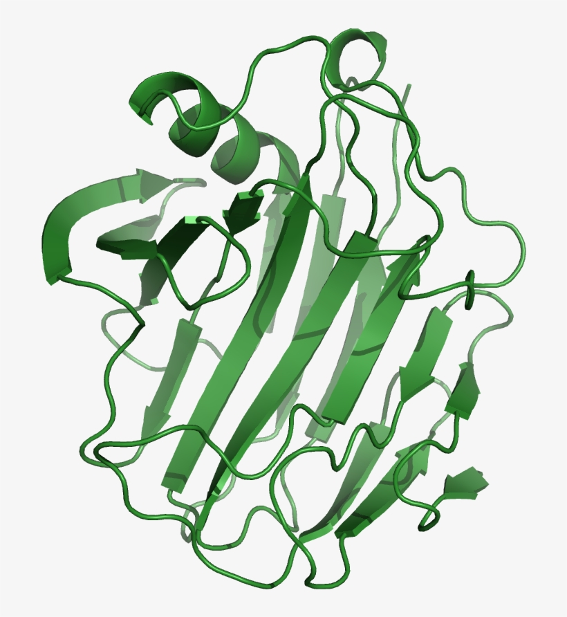 File - 1nlrribbon - Cellulase: Production, Applications And Health Benefits, transparent png #2537591
