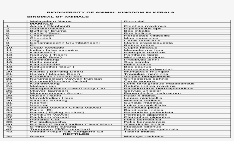 Document, transparent png #2537708