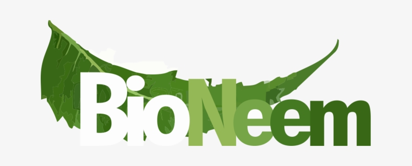 Authentic Neem Products From India, transparent png #2537828