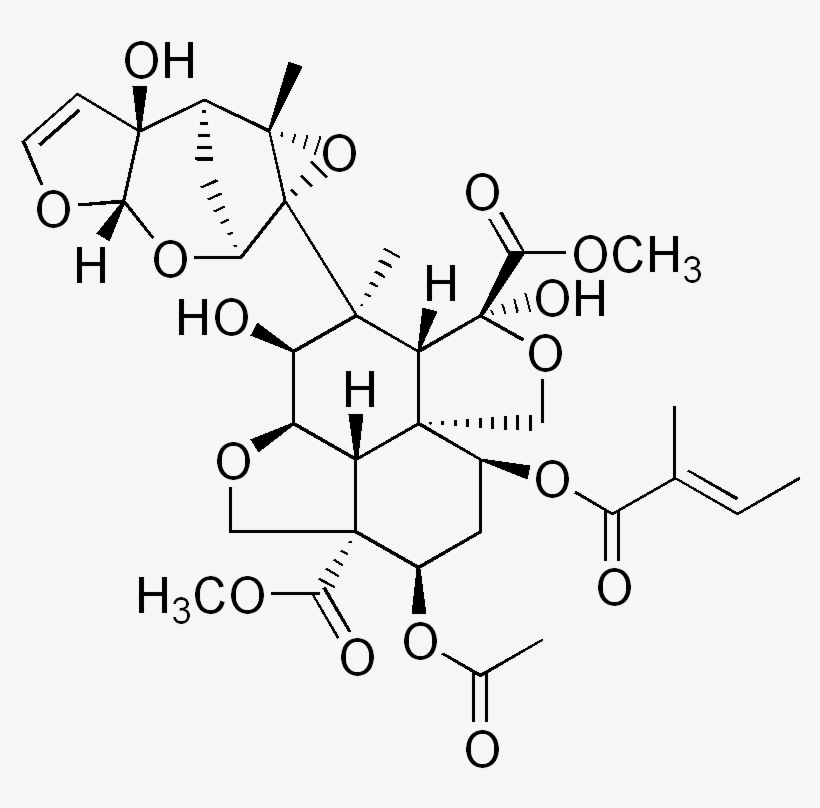 Azadirachtin - Neem Oil Structure, transparent png #2538271