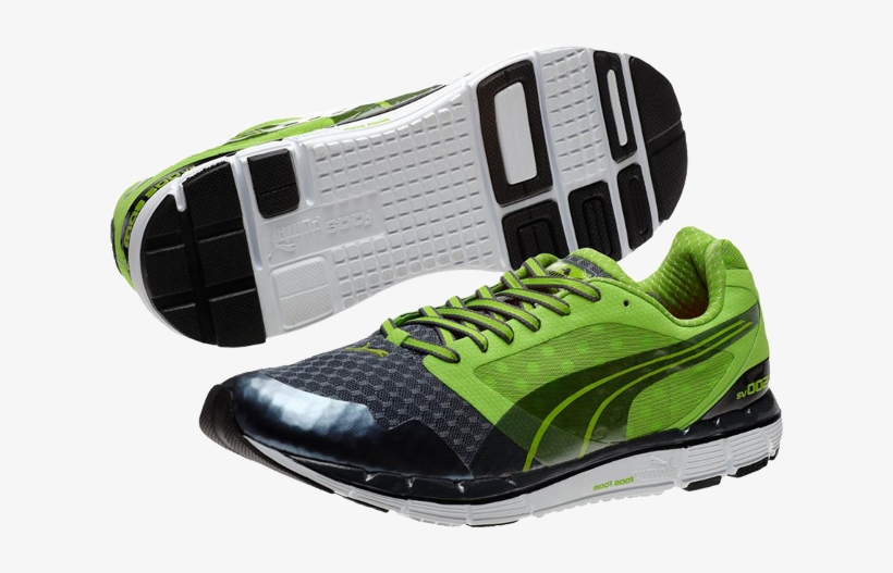 faas 500 puma