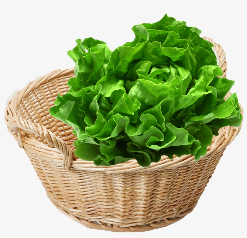 To Date, More Than 100 Supermarkets Carry Our Products - Vegetable Cruelty Meme, transparent png #2539121