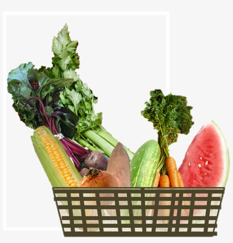 All Our Eggs Are In Too Few Baskets, transparent png #2539273