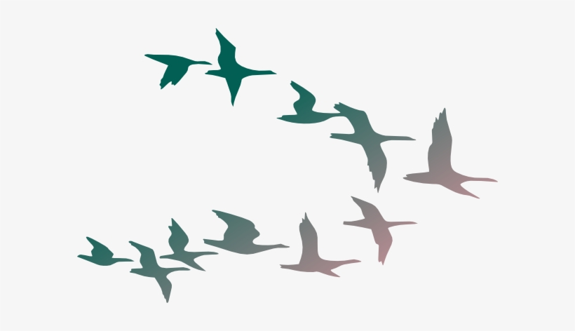 Graphic Black And White Download Flock Of Birds Clipart - Flock Of Birds Clipart, transparent png #2539654