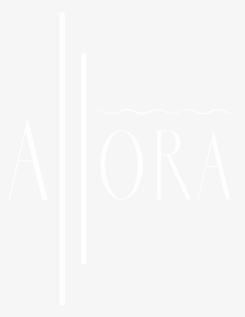 Grand Opening Tuesday 2/13/18 - Twitter White Icon Png, transparent png #2540785