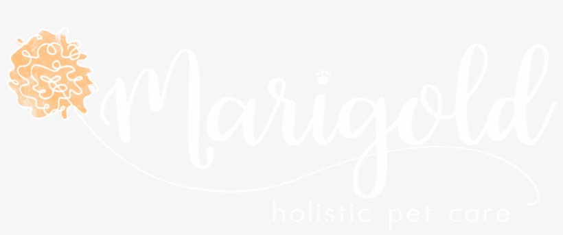 Marigold White Logo Png - Calligraphy, transparent png #2541283