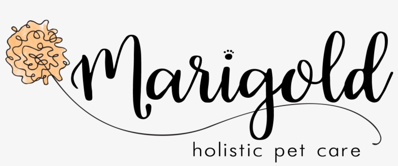 Cropped Marigold Holistic Pet Care For Transparent - Calligraphy, transparent png #2541496