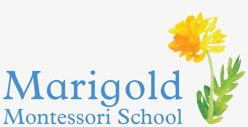 Marigold Montessori School A High Quality Early Childhood - Crocus, transparent png #2541520