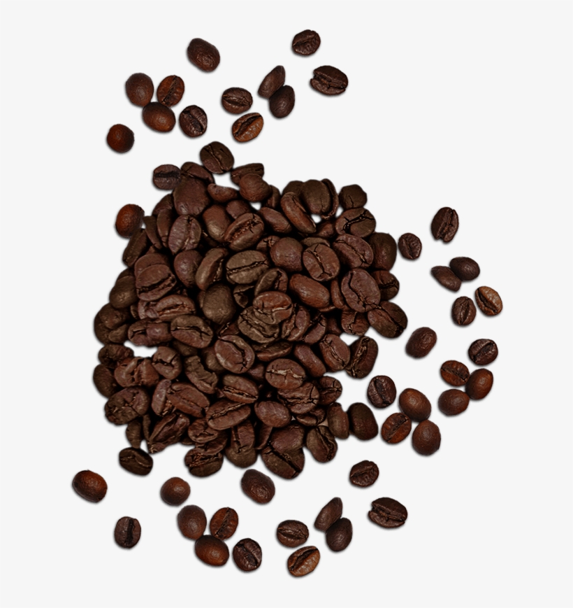 Coffee Beans - Coffee, transparent png #2541542