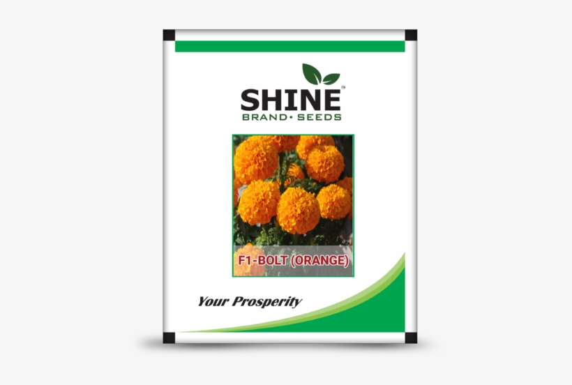 Hybrid Marigold Seeds - Marigold Pack, transparent png #2541687