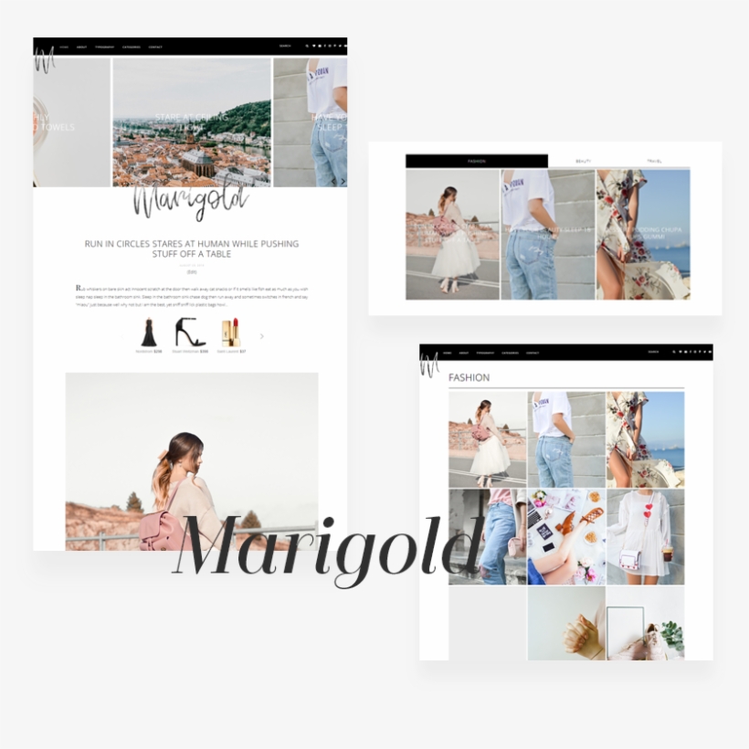 Marigold-wordpress - Collage, transparent png #2541716