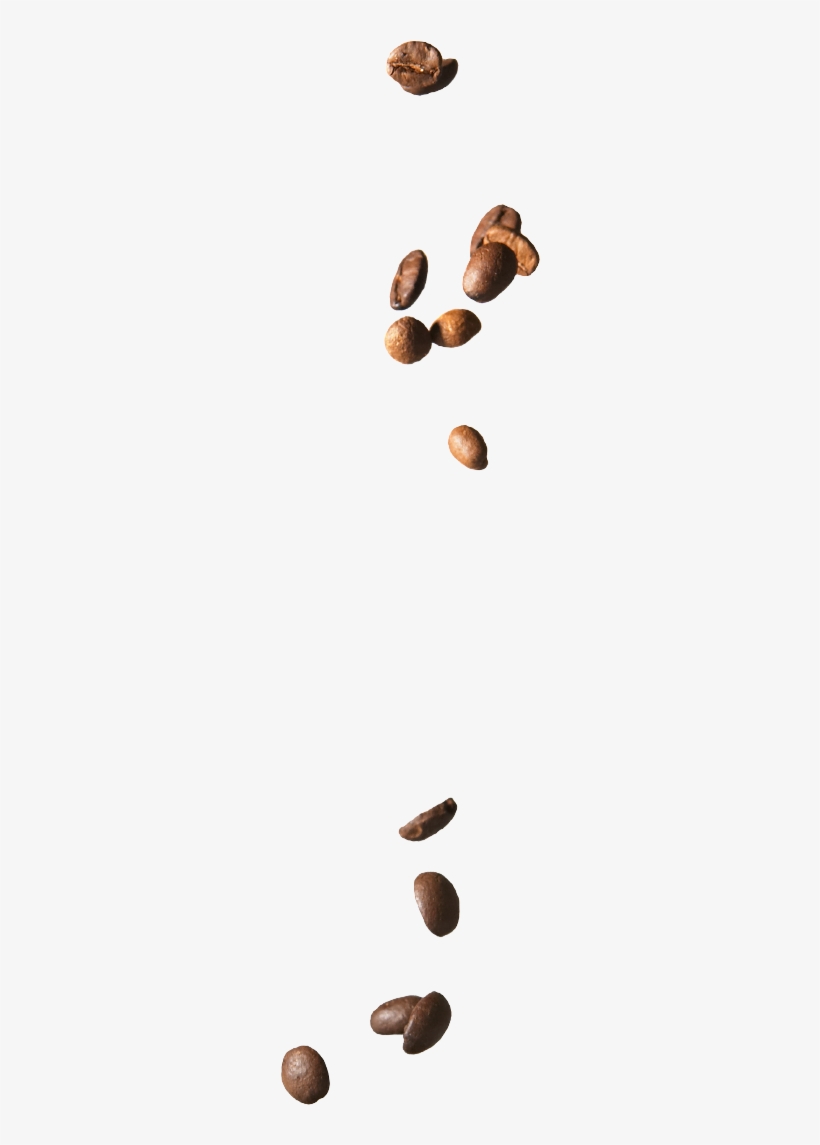 Falling Coffee Beans, transparent png #2541831