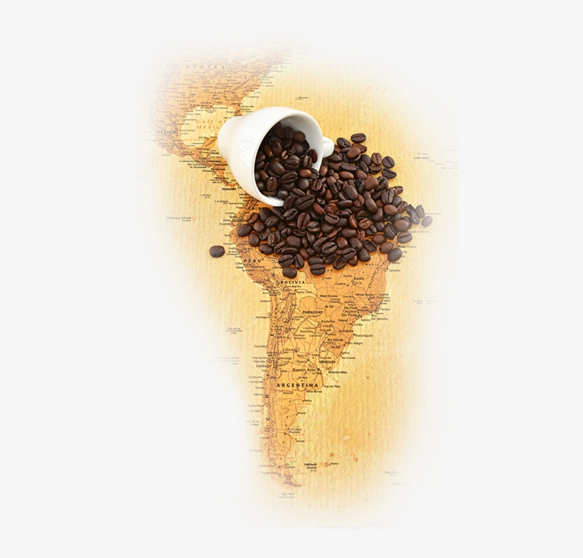 History Of Coffee - Coffee, transparent png #2541849