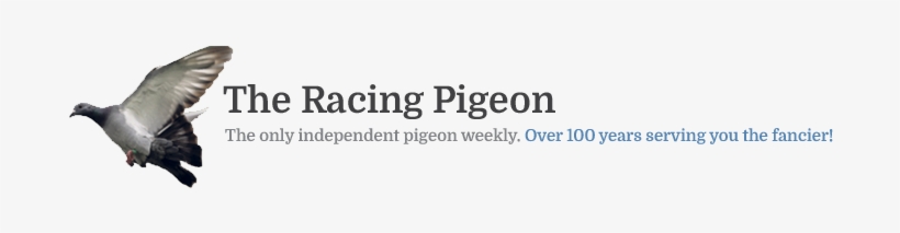 Register - That's Too Much Bacon - Said No One, Oval Ornament, transparent png #2542105