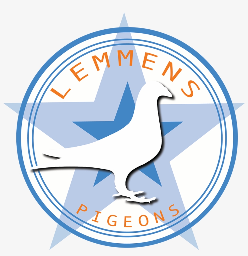 Circle, transparent png #2542240