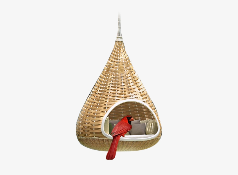 All The Good Things We Build - Northern Cardinal, transparent png #2542601