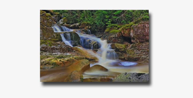 3v6a2290 - Jpeg, transparent png #2543819