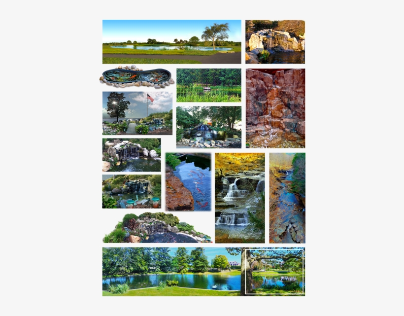 -ponds & Waterfalls - Fish Pond, transparent png #2544085
