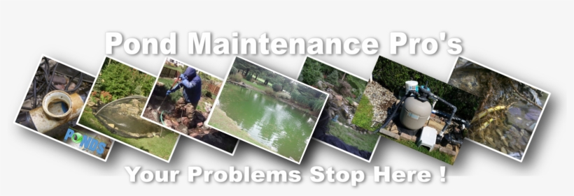 Existing Waterfalls - Backyard, transparent png #2544258