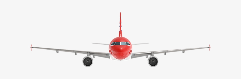 Technical Details - Edelweiss, transparent png #2546339