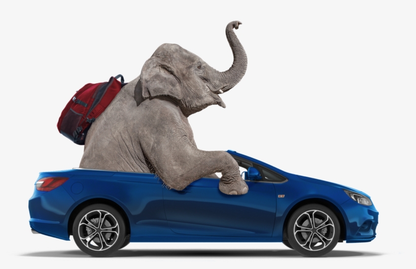 Insurance, transparent png #2546480