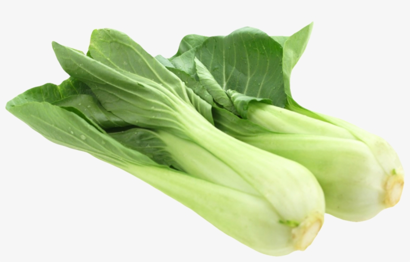 Fresh Bok Choy Png Image - Bok Choy Png, transparent png #2546534