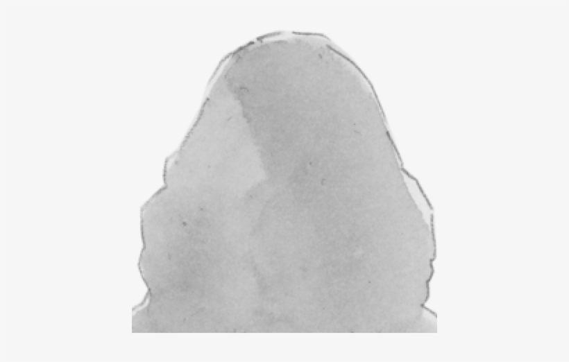 Donna Gusman - 1975 - 2015 - " - Igneous Rock, transparent png #2546614