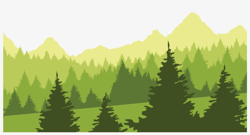 Enchanted Forest Daycare - Forest Transparent, transparent png #2546857