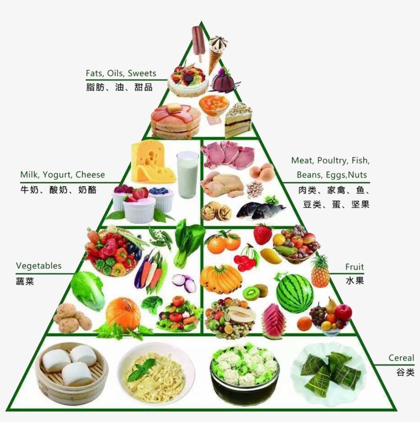 Dietary Supplement Nutrition Healthy - Healthy Food Pyramid Png, transparent png #2548336