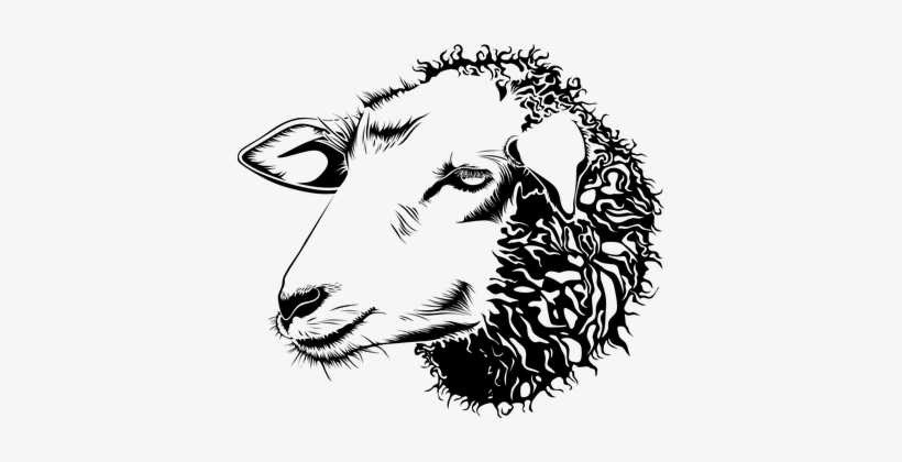 Animal Barnyard Face Farm Head Lamb Sheep - Sheep Head Clipart Black And White, transparent png #2549029