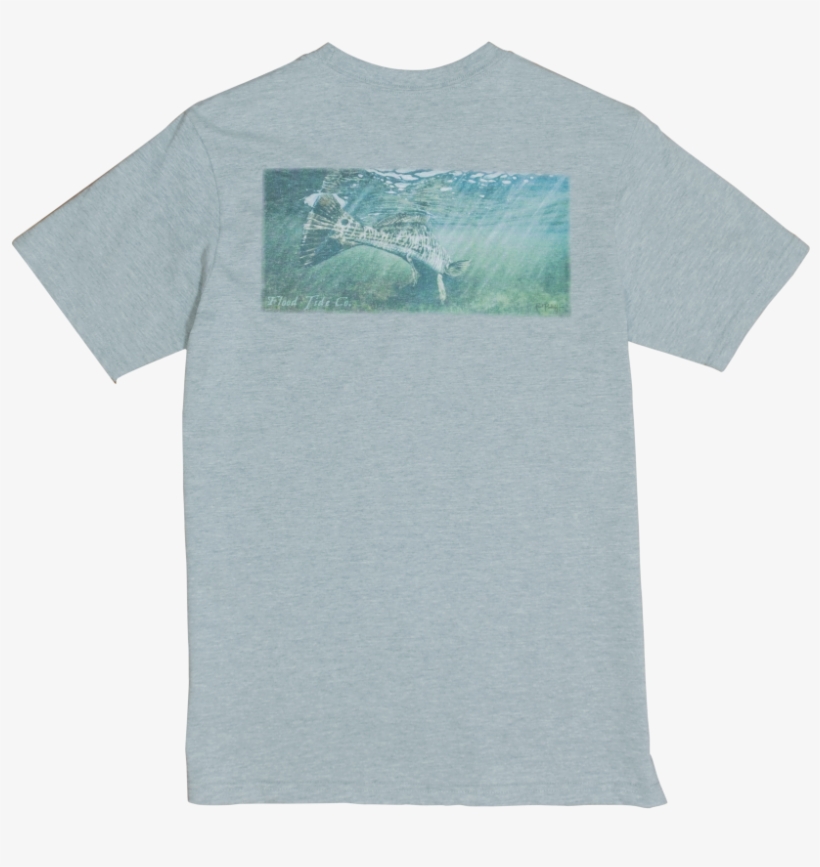 Product Image 1 - Tree, transparent png #2549193
