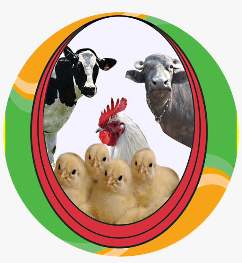 Best Water Sanitizer For Poultry, transparent png #2549240