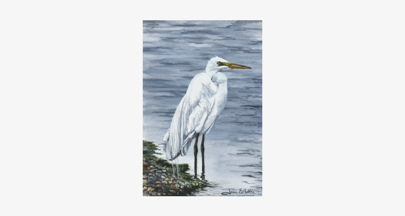 Picture - Great Egret, transparent png #2549527