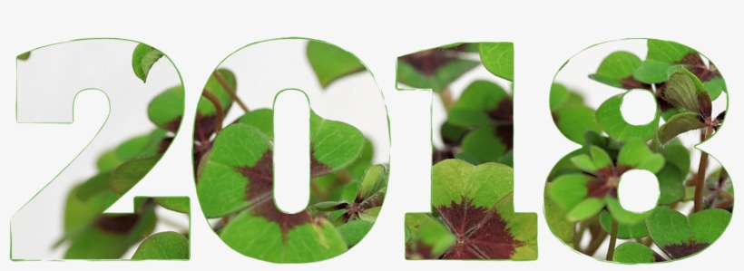 Happy New Year 2018 Image Download - Šťastný Nový Rok 2018, transparent png #2549898