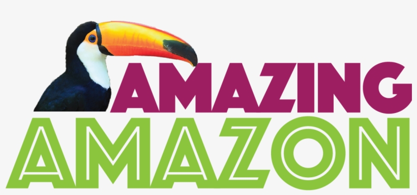 Free-flight Bird Shows - The Great Amazon Adventure Rally, transparent png #2549928