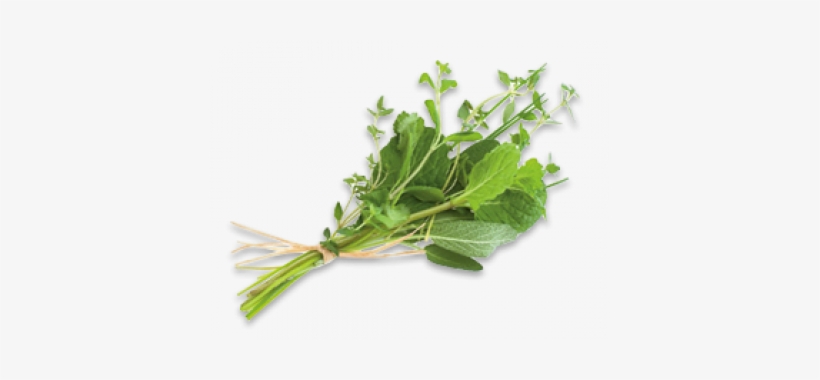 Fresh Herbs, Garnishes And Flowers - Vegetable Flower, transparent png #2550837