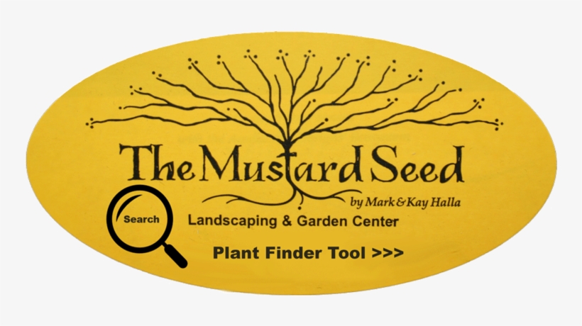 Plant Search Tool - Mustard Seed, transparent png #2551114