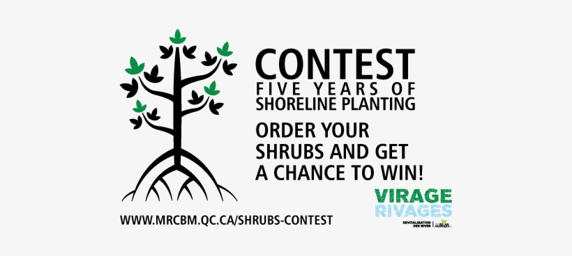 Shrubs Contest - Brome-missisquoi Regional County Municipality, transparent png #2551400
