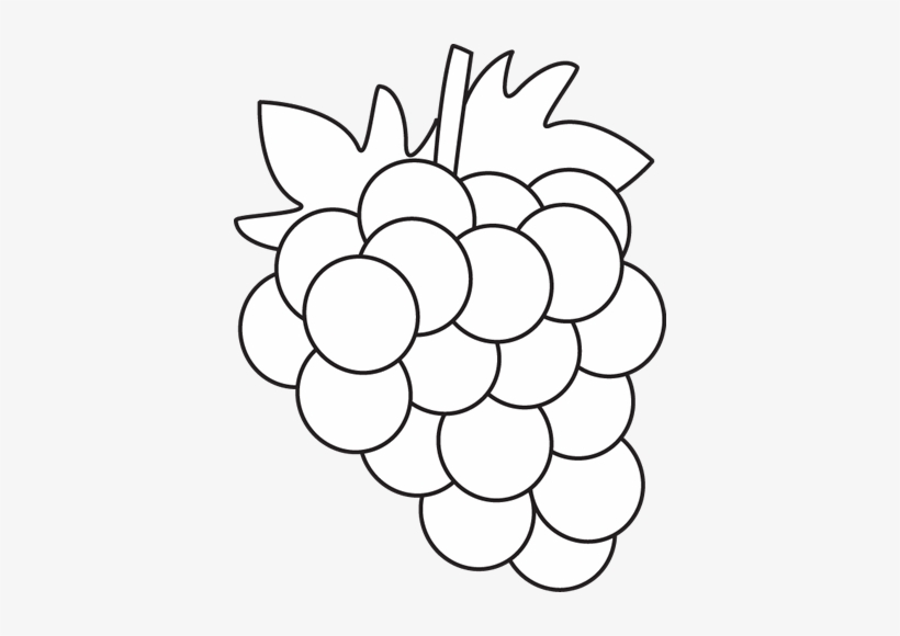 Grapes Clipart Black And White, transparent png #2552207