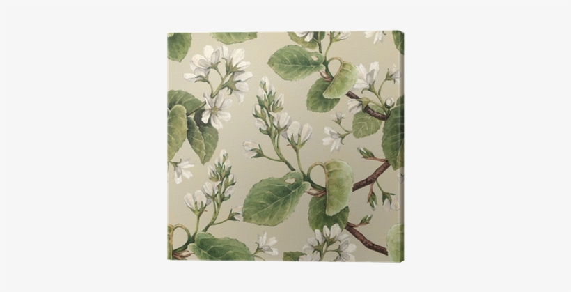 Vintage Seamless Pattern With Watercolor Apple Flowers - Papel De Parede Adesivo Floral Folhas Verdes, transparent png #2552447